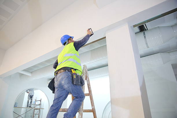 Professional Mold Removal in La Mesilla, NM