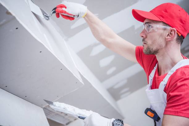 Best Real Estate Mold Inspection  in La Mesilla, NM